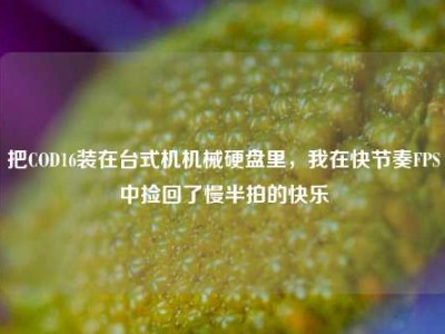把COD16装在台式机机械硬盘里，我在快节奏FPS中捡回了慢半拍的快乐