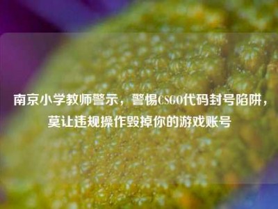南京小学教师警示，警惕CSGO代码封号陷阱，莫让违规操作毁掉你的游戏账号