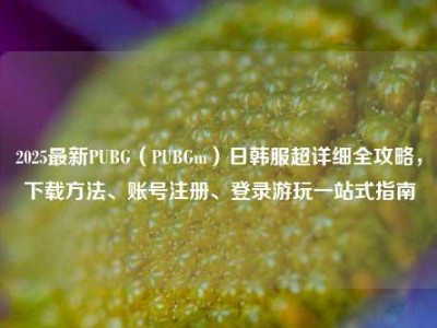 2025最新PUBG（PUBGm）日韩服超详细全攻略，下载方法、账号注册、登录游玩一站式指南