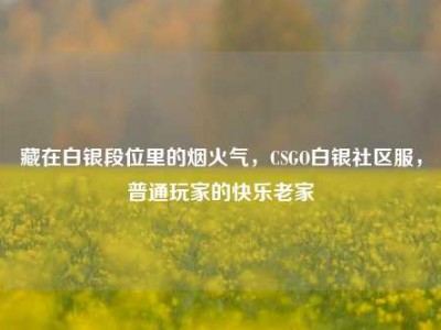 藏在白银段位里的烟火气，CSGO白银社区服，普通玩家的快乐老家