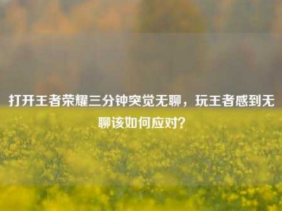 打开王者荣耀三分钟突觉无聊，玩王者感到无聊该如何应对？