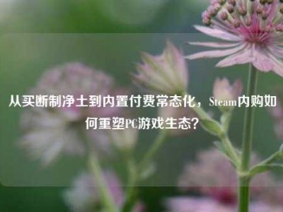 从买断制净土到内置付费常态化，Steam内购如何重塑PC游戏生态？