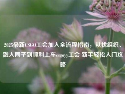2025最新CSGO工会加入全流程指南，从找组织、融入圈子到顺利上车csgoyy工会 新手轻松入门攻略