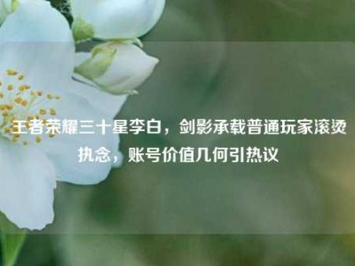 王者荣耀三十星李白，剑影承载普通玩家滚烫执念，账号价值几何引热议