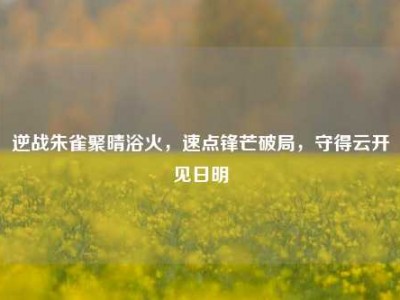逆战朱雀聚晴浴火，速点锋芒破局，守得云开见日明