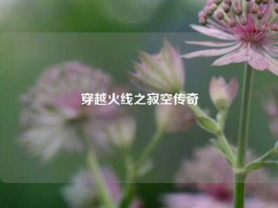 穿越火线之寂空传奇