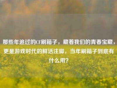 那些年追过的CF刷箱子，藏着我们的青春宝藏，更是游戏时代的鲜活注脚，当年刷箱子到底有什么用？