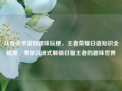 从专业术语到趣味玩梗，王者荣耀日语知识全梳理，带你沉浸式解锁日服王者的趣味世界