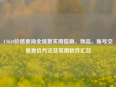 CSGO价格查询全场景实用指南，饰品、账号交易查价方法及常用软件汇总