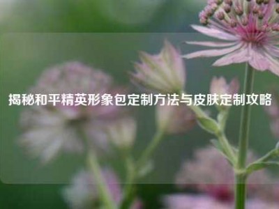 揭秘和平精英形象包定制方法与皮肤定制攻略