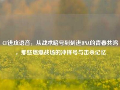 CF进攻语音，从战术暗号到刻进DNA的青春共鸣，那些燃爆战场的冲锋号与击杀记忆