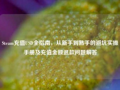 Steam充值USD全指南，从新手到熟手的避坑实操手册及充值金额退款问题解答