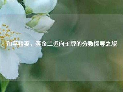 和平精英，黄金二迈向王牌的分数探寻之旅
