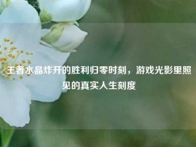 王者水晶炸开的胜利归零时刻，游戏光影里照见的真实人生刻度