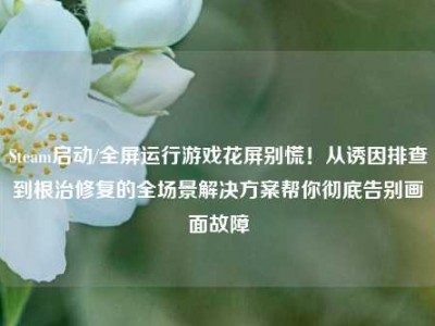 Steam启动/全屏运行游戏花屏别慌！从诱因排查到根治修复的全场景解决方案帮你彻底告别画面故障