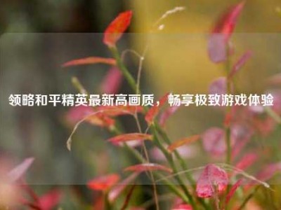 领略和平精英最新高画质，畅享极致游戏体验