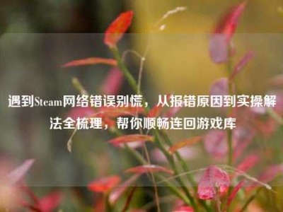 遇到Steam网络错误别慌，从报错原因到实操解法全梳理，帮你顺畅连回游戏库