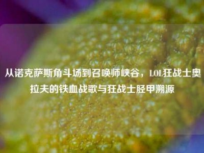 从诺克萨斯角斗场到召唤师峡谷，LOL狂战士奥拉夫的铁血战歌与狂战士胫甲溯源