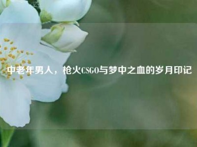 中老年男人，枪火CSGO与梦中之血的岁月印记