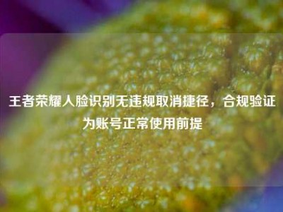 王者荣耀人脸识别无违规取消捷径，合规验证为账号正常使用前提