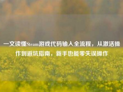 一文读懂Steam游戏代码输入全流程，从激活操作到避坑指南，新手也能零失误操作