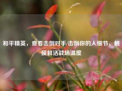 和平精英，查看击倒对手/击倒你的人细节，触摸鲜活战场温度