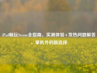 iPad畅玩Steam全指南，实测体验+发热问题解答，掌机外的新选择