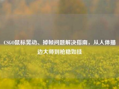 CSGO鼠标晃动、掉帧问题解决指南，从人体描边大师到枪稳如挂