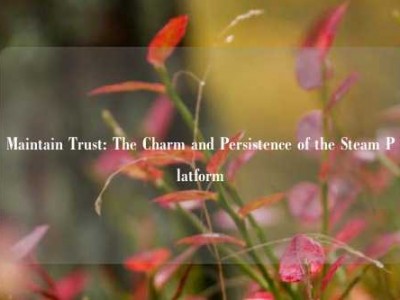 Maintain Trust: The Charm and Persistence of the Steam Platform