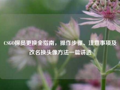 CSGO探员更换全指南，操作步骤、注意事项及改名换头像方法一篇讲透