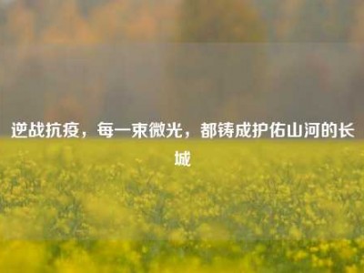 逆战抗疫，每一束微光，都铸成护佑山河的长城