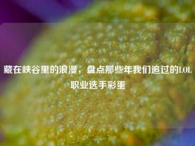 藏在峡谷里的浪漫，盘点那些年我们追过的LOL职业选手彩蛋