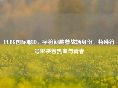 PUBG国际服ID，字符间藏着战场身份，特殊符号里装着热血与青春