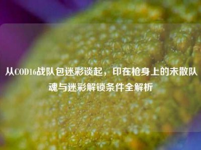 从COD16战队包迷彩谈起，印在枪身上的未散队魂与迷彩解锁条件全解析