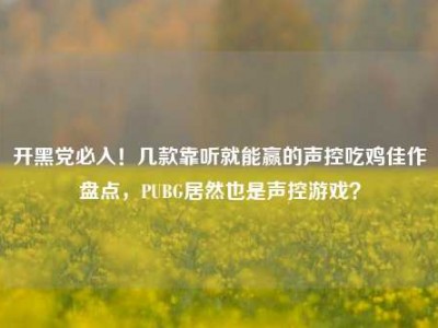 开黑党必入！几款靠听就能赢的声控吃鸡佳作盘点，PUBG居然也是声控游戏？