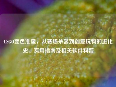 CSGO变色准星，从赛场杀器到创意玩物的进化史、实用指南及相关软件科普