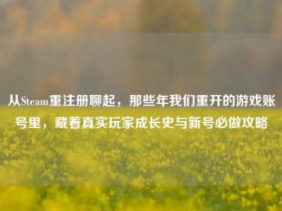 从Steam重注册聊起，那些年我们重开的游戏账号里，藏着真实玩家成长史与新号必做攻略