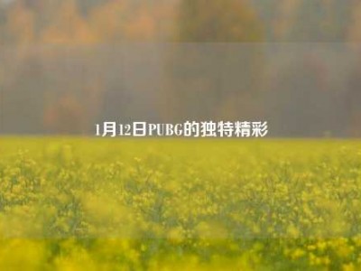 1月12日PUBG的独特精彩