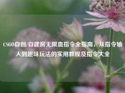 CSGO自创/自建房无限血指令全指南，从指令输入到趣味玩法的实用教程及指令大全