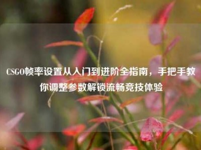 CSGO帧率设置从入门到进阶全指南，手把手教你调整参数解锁流畅竞技体验