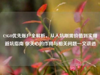 CSGO优先账户全解析，从入坑刚需价值到实用避坑指南 你关心的作用与相关问题一文讲透