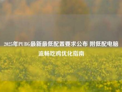 2025年PUBG最新最低配置要求公布 附低配电脑流畅吃鸡优化指南