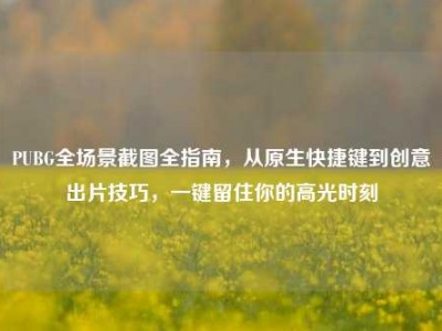 PUBG全场景截图全指南，从原生快捷键到创意出片技巧，一键留住你的高光时刻