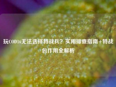 玩COD16无法选择特战兵？实用排查指南+特战包作用全解析