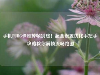 手机PUBG卡顿掉帧别愁！超全设置优化手把手攻略教你满帧流畅跑图