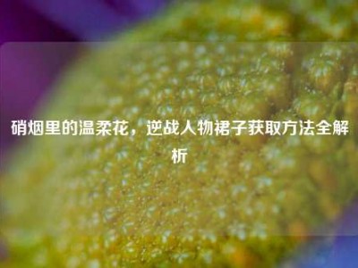 硝烟里的温柔花，逆战人物裙子获取方法全解析