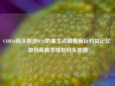 COD16码头刻进DNA的重生点藏着疯玩对战记忆 如何高概率排到码头地图