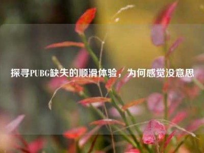 探寻PUBG缺失的顺滑体验，为何感觉没意思
