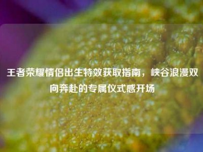 王者荣耀情侣出生特效获取指南，峡谷浪漫双向奔赴的专属仪式感开场