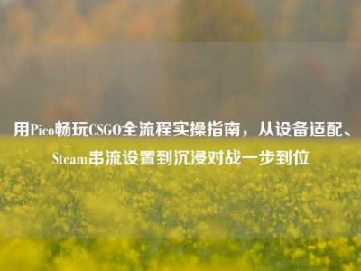 用Pico畅玩CSGO全流程实操指南，从设备适配、Steam串流设置到沉浸对战一步到位